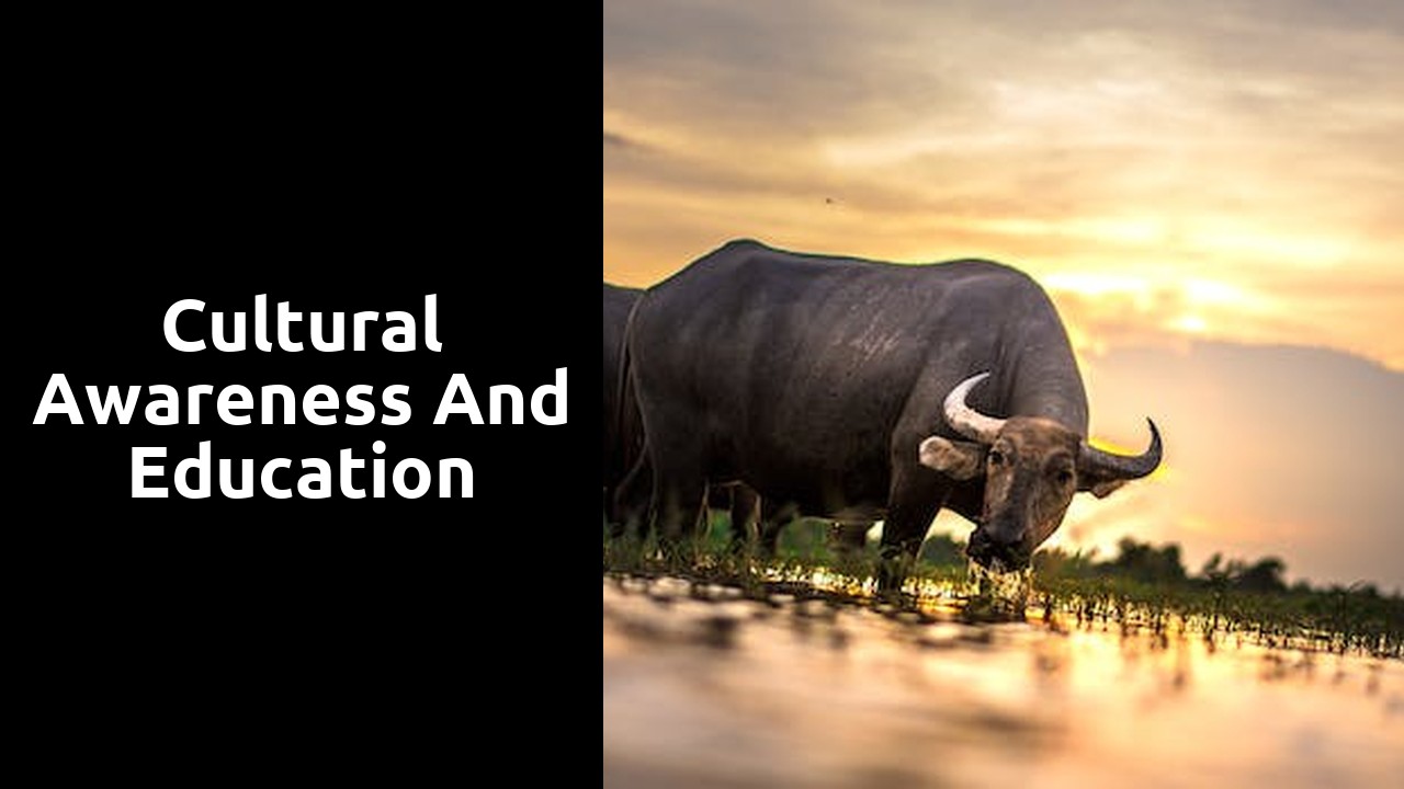 Cultural awareness and education